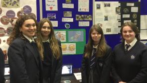 Dundalk grammar School students take part in Young Environmentalists Awards showcase