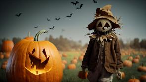 The Tipperary village to visit this weekend - Scarecrows and carved pumpkins everywhere!
