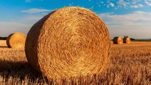 Harvest Thanksgiving in Tipperary - Cahir Service at St Paul's on Sunday next