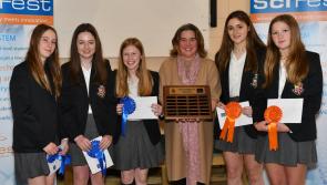Pictures: Successful SciFest event at Kilkenny College