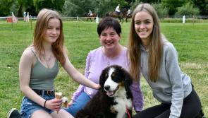 Pictures: Inistioge Horse Show is a massive success