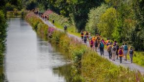 Any Tipperary people interesting in walking the Camino?  Meeting this week