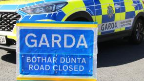 Tractor towing a silage trailer and car involved in collision in Limerick