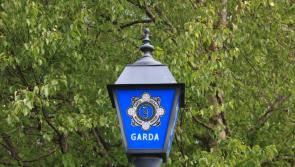Two men hospitalised after assaults in Limerick village over bank holiday weekend