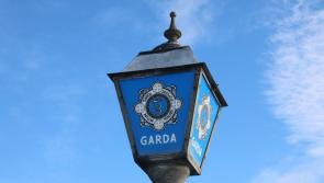 Charity box stolen from Limerick store