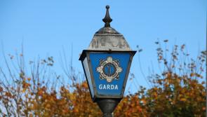 Warning as thieves target Limerick sports clubs and facilities