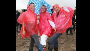 In Pictures: Limerick people descend on Laois for the National Ploughing Championships