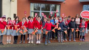 Fantastique! Kilkenny school children get to grips with new language initiative