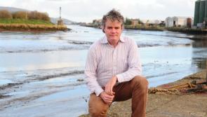 Louth Green Party Chair urges people to think of climate challenge when voting