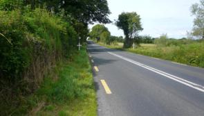 Transport bosses 'must prioritise' N4 upgrade, says Longford senator