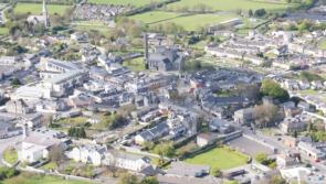 Host families needed by Kildare Twinning committee for French visitors