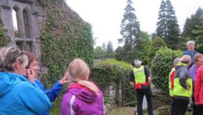 Explore Orange Hill and the beautiful Golden Grove woods with Roscrea Trailblazers