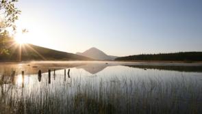 Editorial: A new dawn after two years of pandemic