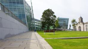 Court action being taken over mobile homes encampment on Kildare land