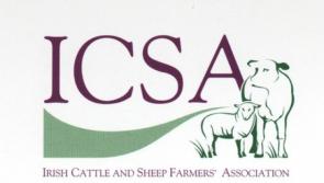 ICSA to hold protest to highlight deepening crisis in the sheep sector