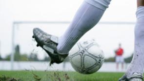 Planning permission granted for new astroturf pitch at Waterford football club