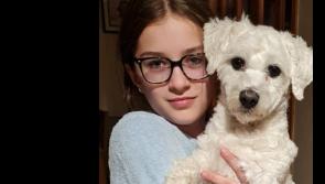 Funeral arrangements announced for 13-year-old Clonmel student who died after a freak  traffic accident 