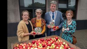 Clonmel is g etting ready for Applefest spectacular
