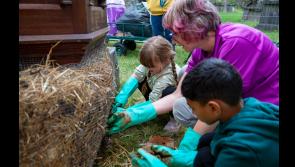 Community engages with Applefest workshop programme in Clonmel