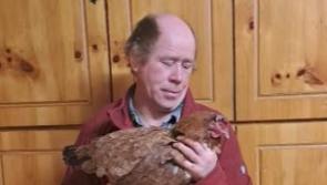 Offaly farmer heart-broken after death of record-breaking hen