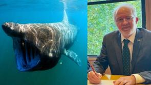 Kilkenny Minister of State confers 'protected' status on basking sharks