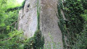 Historic mill for sale in Kilkenny offers purchaser a number of options - see more!
