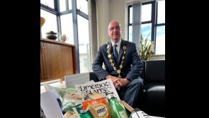 Mayor of Limerick sends ‘ therapy hamper’ including Dreamies to Kilkenny counterpart 