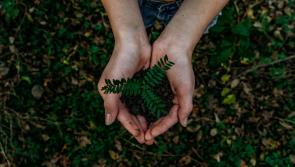 Clare businesses urged to prepare for EU sustainability regulations