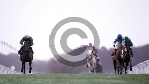 Epatante and Not So Sleepy set for Christmas Hurdle rematch
