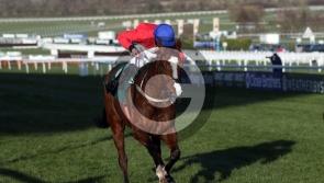 Gerhard and Hollow headline Mullins team for Leopardstown opener