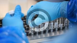 Scotland records biggest daily rise in Omicron cases
