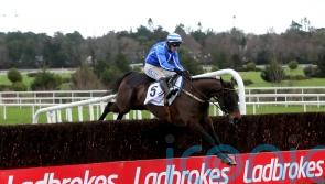 Energumene and Shishkin headline 11 Clarence House contenders