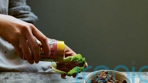 Tim Anderson’s nikumiso lettuce wraps recipe