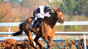 Kilcruit only third as Journey With Me takes Leopardstown honours
