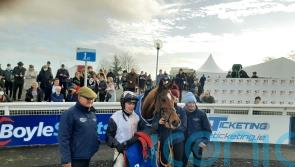 Teahupoo rallies to lift Limerick Hurdle