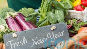 Sustainability: What greener New Year’s resolutions are you making for your garden?