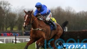 Evan Williams in no rush to map out Secret Reprieve plans