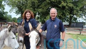 Donkey charity ‘bursting at the seams’ as number in need of rescue grows