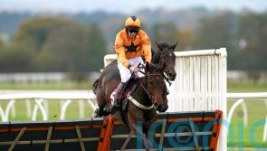 Williams anticipating further progress from Saint Segal