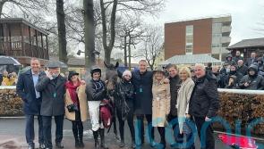 Blaklion roars home for Skelton team