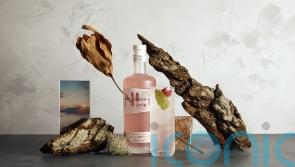 Dry January: 9 of the best no or low-alcoholic drinks