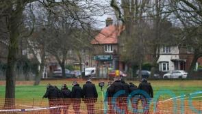 Two boys stabbed to death in separate incidents an hour apart as grim record set