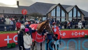 Pied Piper looks one to follow after Punchestown success
