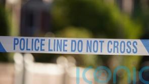 Driver killed in collision involving stolen car