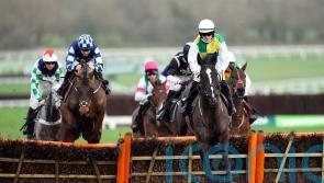 Hillcrest lands Listed honours in Cheltenham opener