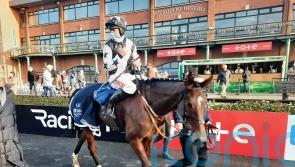 Mount Ida continues progression at Fairyhouse
