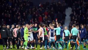 Sam Johnstone and Aden Flint see red in full-time melee at West Brom-Cardiff