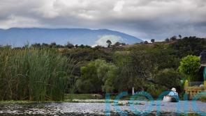Mexican fish reintroduced to its river after becoming extinct in the wild