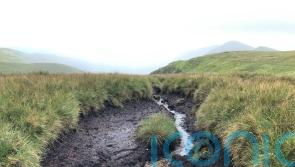 PM urged to make New Year&rsquo;s resolutions to tackle nature and climate crises