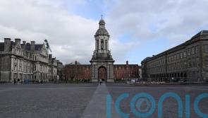 Trinity, UCC, UCD and DCU to introduce paid domestic violence leave in 2022